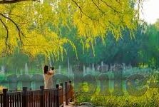92看片在线伦理-92看片在线，伦理边界的模糊与反思