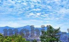 大象传媒视频正片-探索大象传媒视频正片的魅力与价值