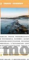 国产一区二区在线看-国产一区二区，网络文化中的独特风景