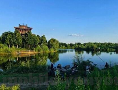 果冻传媒女果冻传媒-探索果冻传媒的多元魅力，女性视角下的文化创新