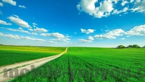 韩国伦理中文字幕电影-韩国伦理电影，中文字幕下的文化探索与思考