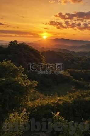 麻豆传媒直播app下载官网版-麻豆传媒直播app下载指南，搜索、体验与解析