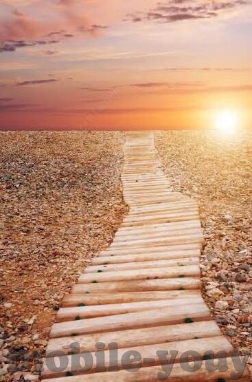 麻豆极品视频-性感魅力，深入麻豆极品视频的视觉盛宴