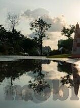 麻豆视频传媒沈娜娜-麻豆视频传媒中的沈娜娜，现象分析与其背后的社会启示