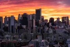 麻豆网站av-麻豆，网络背后的模糊边界与文化反思