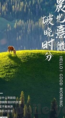 最新麻豆av在线-探索成人娱乐内容的边界与影响